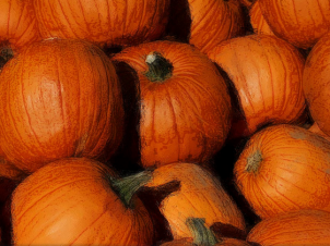 Halloween Inspired Pumpkin Spa Treatments