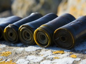 VOYA Organic Skincare: The Story, The Benefits, The Products